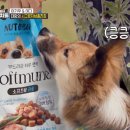 털뭉치들 이미지