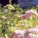 목화펜션 이미지