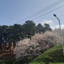 옥천 상계 체육시설 이미지