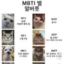 주샌드위치카페