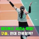 한국건설지원단주 | 신인감독 김연경 시즌2 확정! 현대건설 배구단 구솔 세터, 프로 잔류?