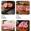 광사돈229