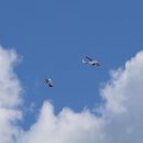 동아생명보험 이미지