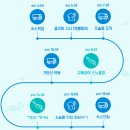 필리핀 세부여행, 오슬롭 고래상어 + 세부 캐녀닝 짜릿해