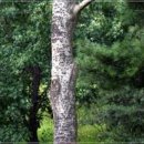 묵동장로교회 이미지