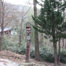 순천-67호 이미지