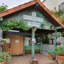 무릉고서화미술박물관 이미지