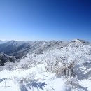 제69차 영주 소백산(1,439.5m) 눈꽃산행[2010.01.23(토) 이미지