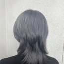 라미스헤어계대 이미지