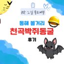 뉴황금 | 강원 동해 볼거리 천곡황금박쥐동굴