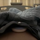 유로병원 | 27주~30주 총 20일 고위험산모 입원 후기🥲. 대구 칠곡경대병원 고위험산모병동 MFICU. 트랙시반...