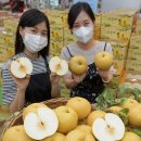 화산유통 이미지