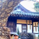 초락당한의원 이미지