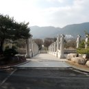 중앙로 느티나무길 이미지