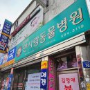 김영애뷰티테라피