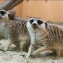 한강가족농장 이미지