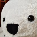 수민농수산 | 3달 동안 내가 얼마나 잘 먹었는지 자랑하기