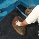 고대도1 이미지