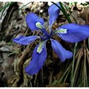 각시민박 이미지