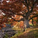 은혜통상 | [충남] 2026, 논산 … 2. 명재고택