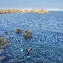 대부리 방파제 옆 이미지