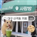 대구 산격동 카페 힐링하러 가는 단골집ㅣ사랑방