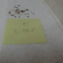 현진광택 이미지