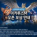 이카루스 이미지