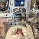 쌍둥이부분정비 | 인천산후도우미 정부지원금 업체추천 해피맘스케어