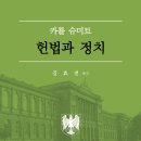 [산지니/개정판] 헌법과 정치 이미지
