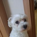 영산대역 2번출구 앞 이미지