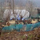 원터농장 이미지