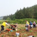 팔봉면 이미지