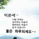 7월 31일 (월요일) 쥐띠방 출석부ㅡㅡ 이미지