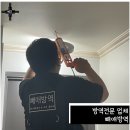 빼애방역