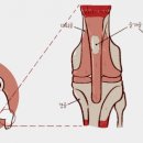 풍산동물병원 이미지