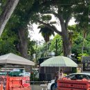 하와이새우트럭송도점 | 하와이 지오반니, 하와이 호노스(하와이 새우트럭 비교, 지오반니 주차)