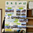 OK승마장