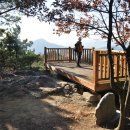 비봉산 투어로드 이미지