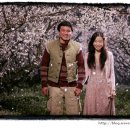 너는 내운명 이미지