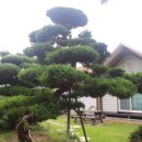 정자농장 이미지