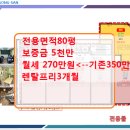 송산야구장 네이버블로그