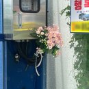 미녀PC방 | #26. Guess who&#39;s back, back again