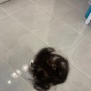 어울림미장원 이미지