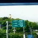 이사부길 이미지