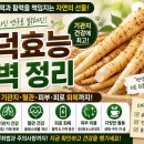 횡성산마루더덕