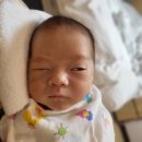 회진농장 | 제주메종포레산후조리원 후기 (첫째 둘째 이용)