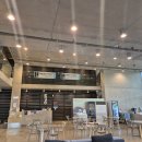 프리다이빙 입문 드디어 배우다! (업체 및 강사추천, 체험교육, 첫 장비구매)