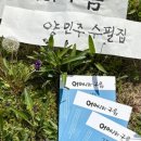 양민주 이미지