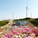 영덕 신재생에너지전시관 이미지